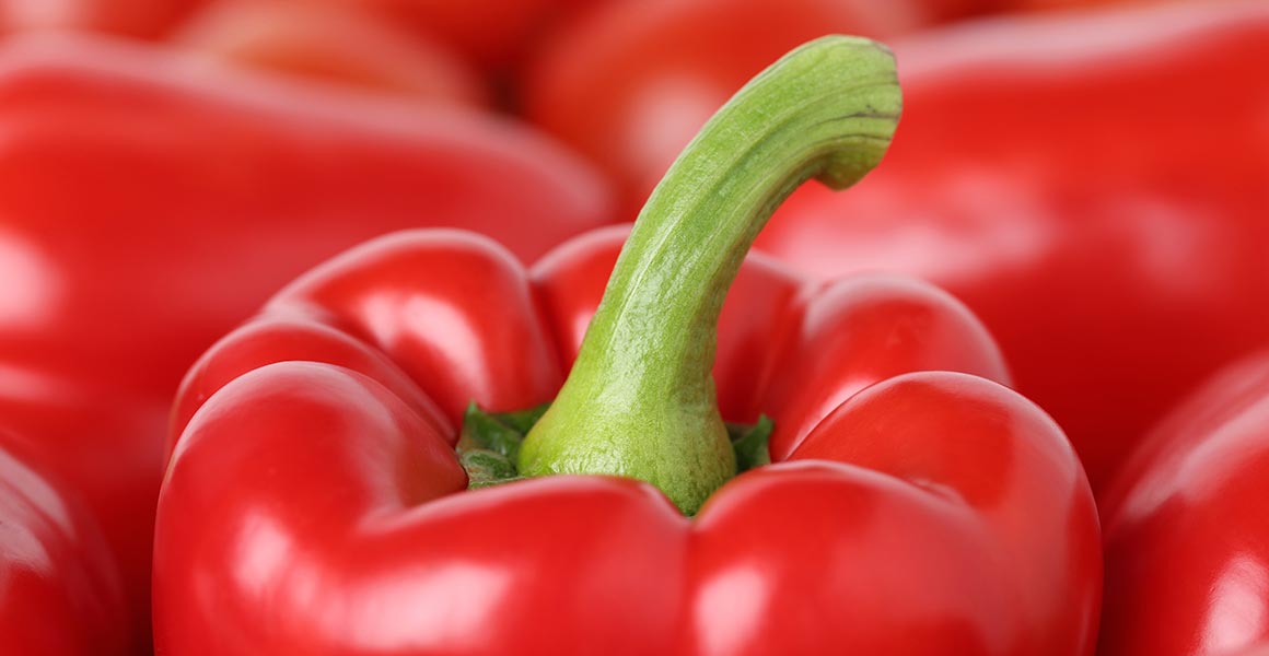 paprika02